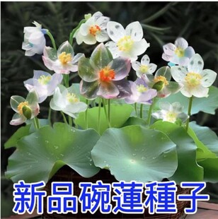 ˮ����ɏ�Nˮ��ˮ�B�Gֲ���Bֳ��ɏ�ɻ��N�o�����Ի����o���辰