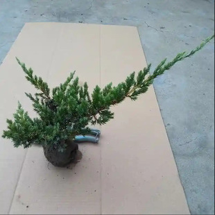 ����ذ�䁵ذؘ������ذ؈@�־G���ر�����ֲ���辰�쾰�ز���