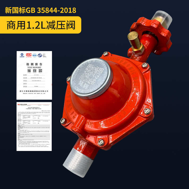 新しい国家標準 2.0L 減圧弁液化ガス天然ガス防爆減圧弁ガス自動閉鎖弁安全弁|undefined