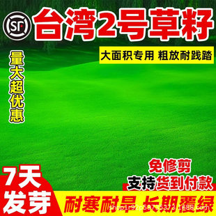 ̨��2̖���Ѳ�ƺ�N�ݽY�|�ݰ����ļ���̨���ݷN��̨����������l