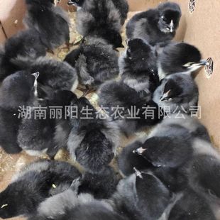 ����ֱ�u����߮a�G�����u����w����һ���gС�u��С���Bֳԇ�B�r