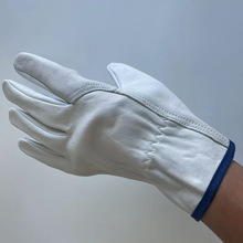 ��Ƥ����늺��Ӻ����ڱ����C�и���廡���͸ߜ���ĥ���C