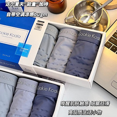 Silk Energy Men's Nudie Breathable Seamless Mid-rise High-Elastic Straight Leg Pants Gift Box of Three