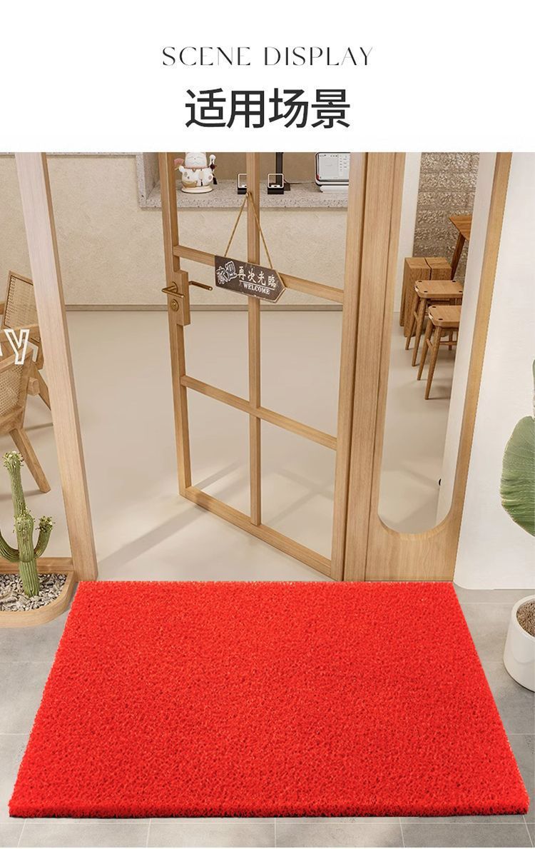 Thickened Silk Loop Floor Mat for Entryway, Customizable Door Mat, Entrance Door Mat, Carpet, Car Mat