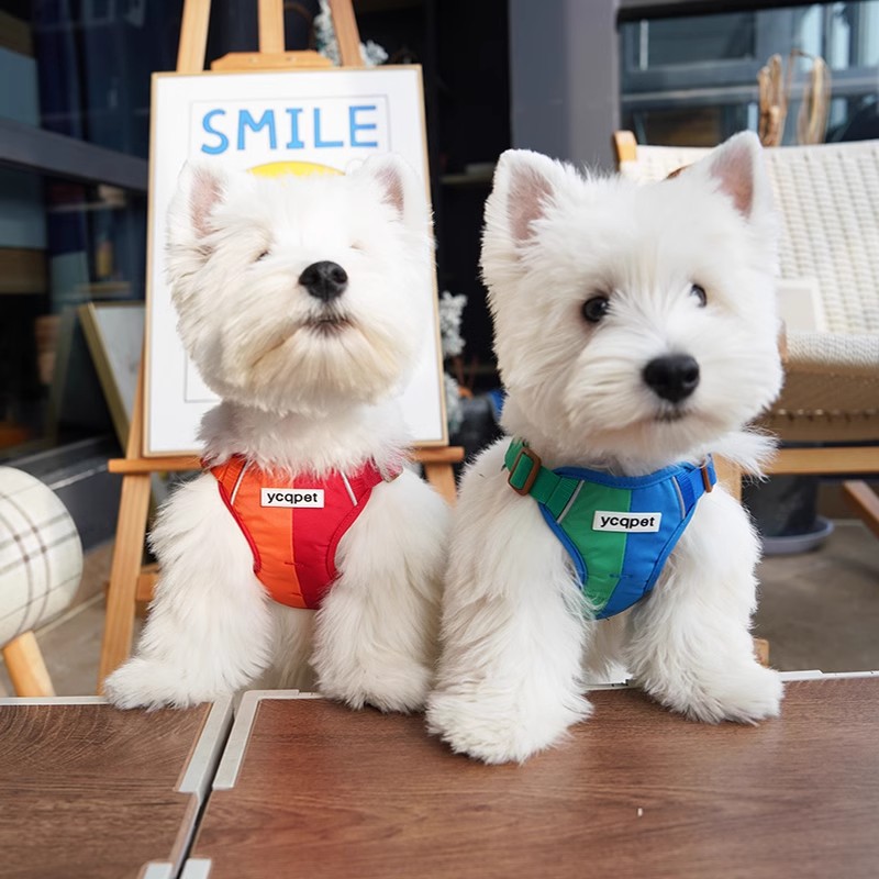 Reflektierende Weste für kleine Hunde, Hundegeschirr, Leine_voghion.com