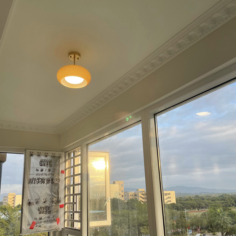 Ceiling Light 2