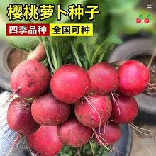 ļ}N ˮС}N߲˷N̨ˮ}