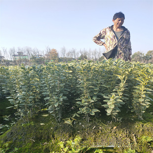 ���ش������l��߅�S����G��С����~�S��С�~�S������S��