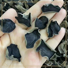 ly东北黑龙江特产野东宁黑长白山小碗耳生干货无根肉厚500g秋