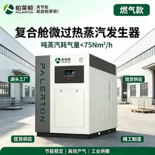 微过热燃气蒸汽发生器支持定制 1.2-2 吨全规格食品化工印染厂用