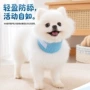伊丽莎白伤口术后保护猫项圈