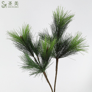 ����ֲ��С֦5�^����}�Q�~ӭ���ɘ��~���l�Rβ���ɘ�֦ܛ�b�쾰