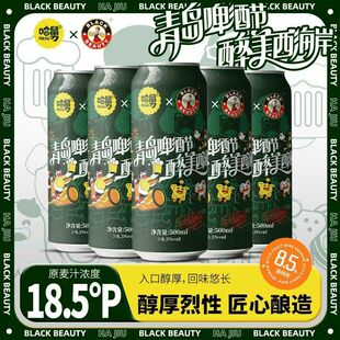 18.5�ȵۇ�����IPAơ��500ml*12/24�޸߶�ơ�����u�������Y���b