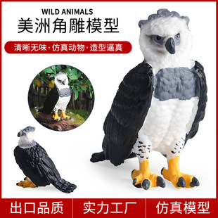 ���挍�Ą���ģ�̓�ͯ������޽ǵ��������������J֪����[��