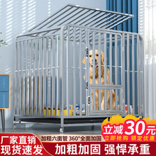 ���\�Ӵ���Ȯ���͎��������x�҃Ƚ�ë߅���������������ش�̖���\