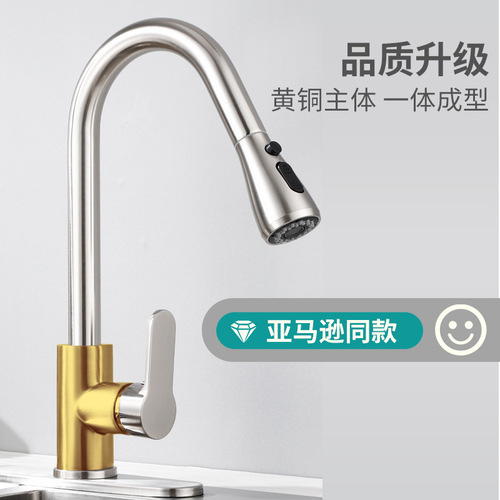 Refined copper pull-out kitchen faucet 304 stainless steel double outlet hot and cold sink faucet