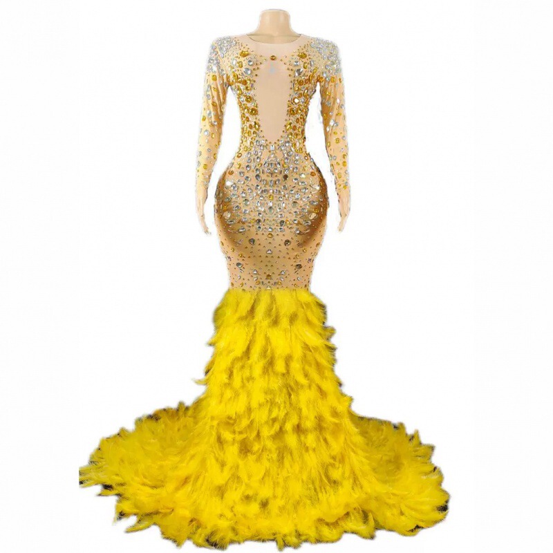 Birthday Long Skirt Holiday Party Costume Dress High Collar Bright Diamond Long Sleeve Feather Long Skirt Stage Performance Costume