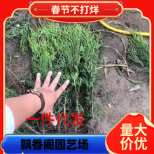 һ�����l�ؘ���� ���� ����ɰ؂Ȱؘ���A���ɘ䌚�������ش���