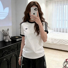 ���޶�������Ů�ļ��¿���������ʰٴ�ʱ��͸��������T��
