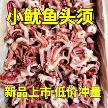 小魷魚須新鮮速凍魷魚頭八爪須批發凈重無冰衣燒烤餐飲家庭食材