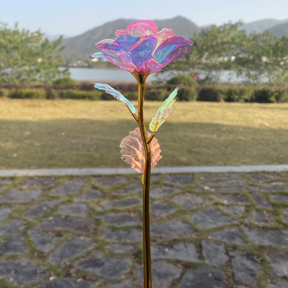 Flor de la vida eterna, flores de oro, flores de flores, regalos de cumpleaños creativos del Día de la Madre, regalos de Navidad transfronterizos del Día de San Valentín