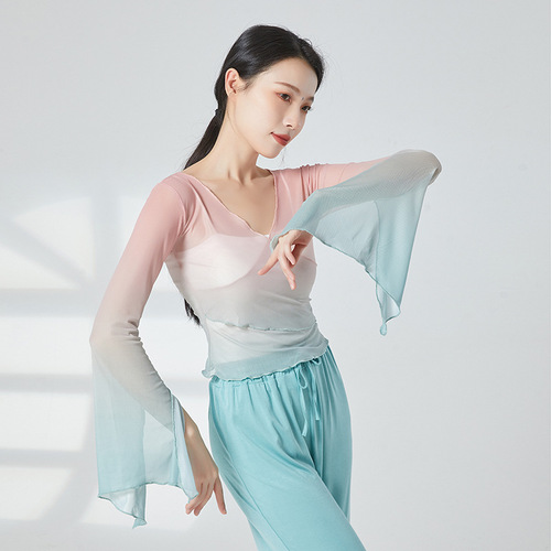 Classical dance practice clothes, rhyme clothes, gauze clothes, Chinese dance dance clothes, women's elegant tops, body performance clothes