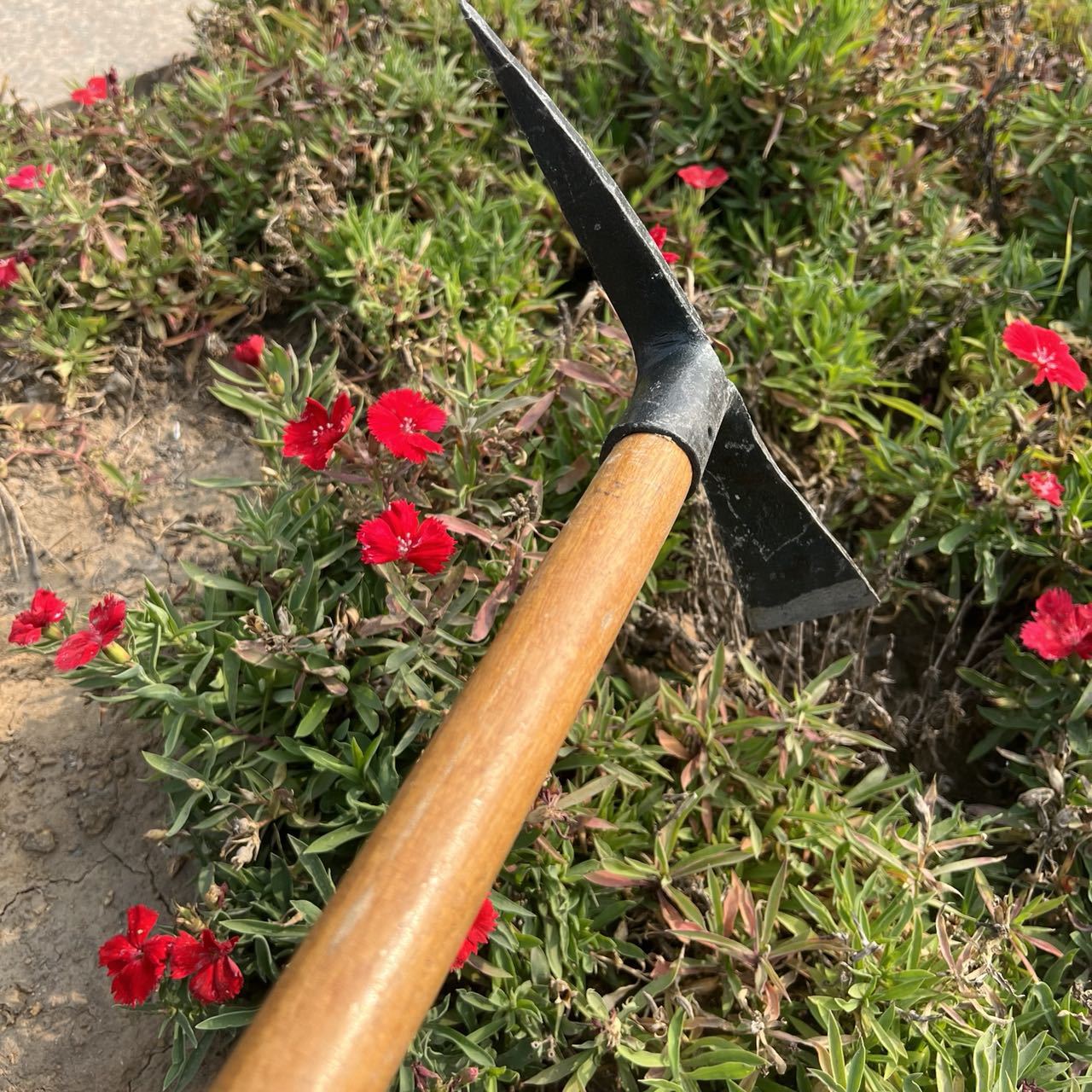 微信图片_20211111205514