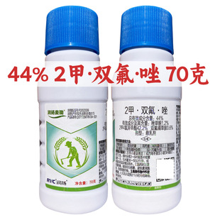 2���p�����ͪ 2��4�Ȯ����� �p���ǲݰ� ���ͪ ������݄����l