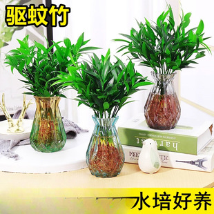 ��ɰ��������ˮ��ֲ���҃ȿ͏dˮ�B�Gֲ���������k���������ļ�