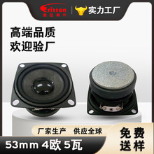 �����ʼ���4ŷ5W��������AI�������� ����53mm����е���������
