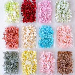 ���꽑�򻨲ĸɻ���Ь�NĘ�����ֈF�����Ů������5���b���]