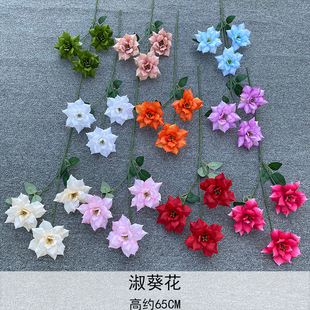 ��֦��ˮ�� 3�^�¼�  ������Y����d�廨���滨 ��̨·��������