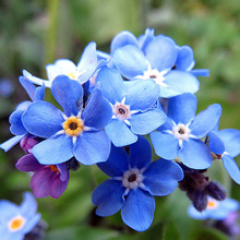 �����ҷN���ļ��׷N���ݻ������Ի��N�ļ��_�����໨�N�ѻ��ѻ���