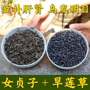 �؎XҰ��Ůؑ�Ӿ��x������؛��ș�����l����ī��ɏ�ݿ��ݲ��