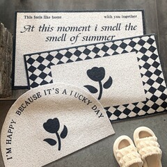 ins入戶門地墊簡約門口進門家用腳墊絲圈地毯小門墊玄關門外墊子