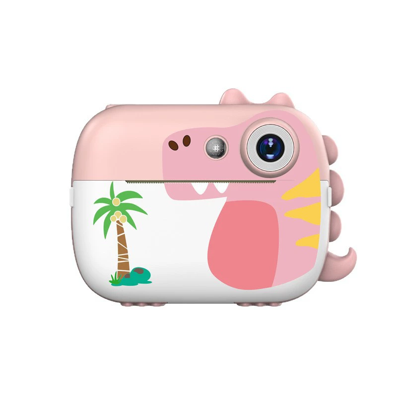 Polaroid, camera, (Cross-border trading), D1