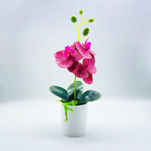 �������Լٻ����Է�������m���컨����2022����¿�羳؛Դ