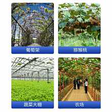 ?���Ѽ��߲˴���o���� С���⺸��ᔷ������P��\䓽z��ֱ�Q�o