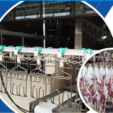 供应宰鸡宰鸭流水线链条  鸡宰杀生产线设备 出厂家直销