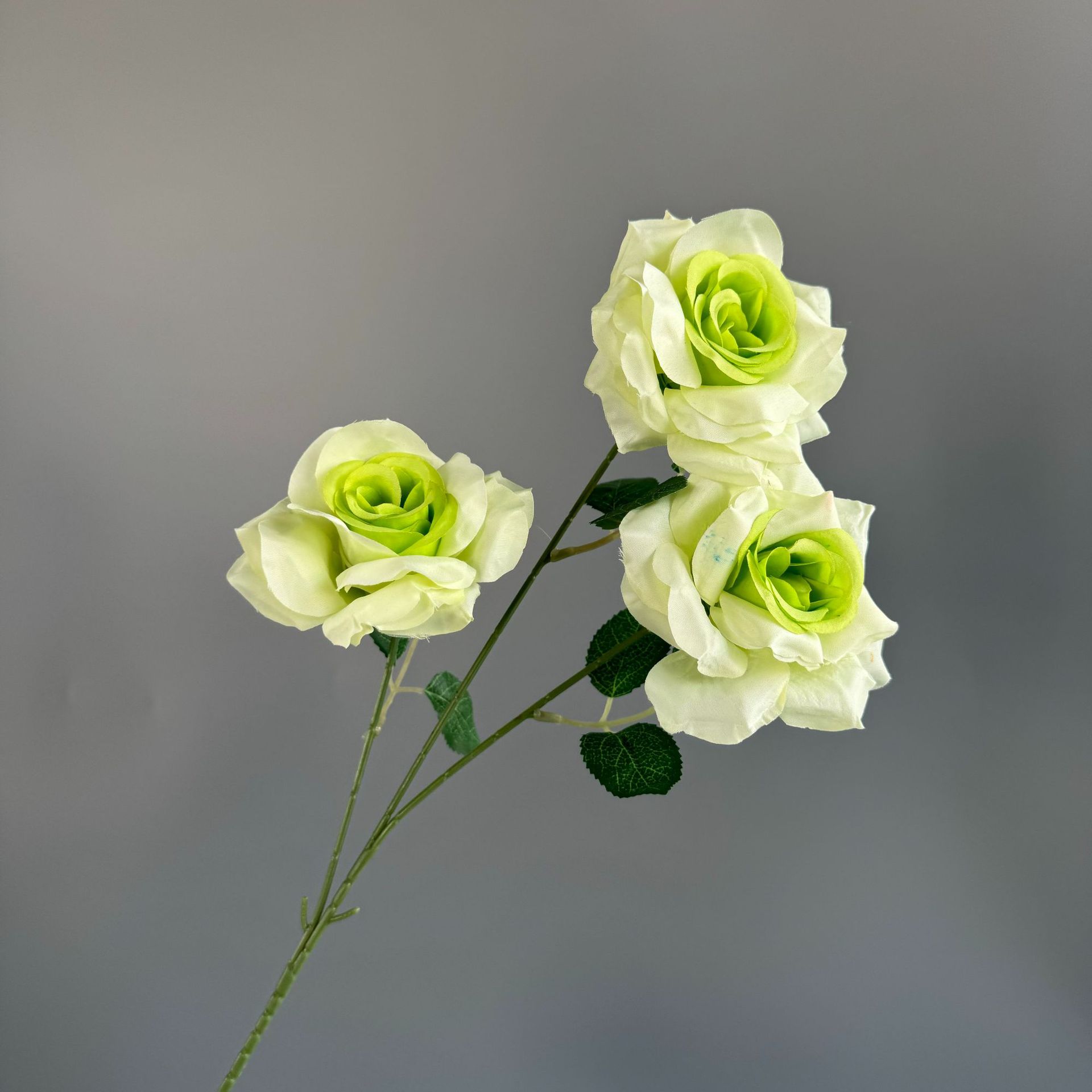 연한 녹색(잎 없음)