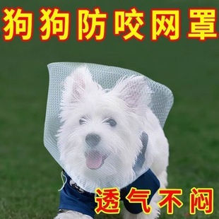 ������ҧ�W�����С�͹������֌������׷�ֹ�����y�Ԗ|���W�����l