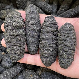 ������֦��