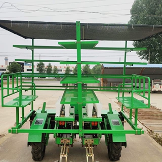 辣椒苗栽种机工厂直发现货量大厂家辣椒苗栽种机