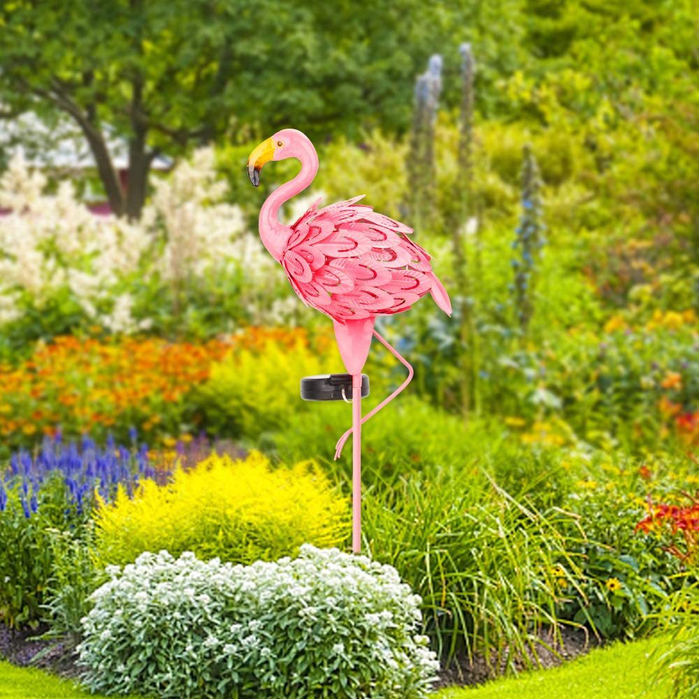 71CGrAypLNL._AC_SL1000_