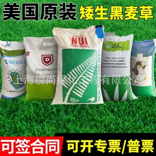 �����������ݷN�����������ļ���������ͺ��ͺ����޼���ƺ�N����