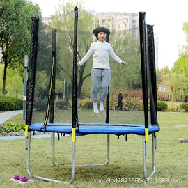 跳床;健腹器;踏步机