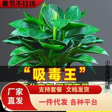 һ�����l�K������ԾG�}�j����ֲ���҃Ȼ�ˮ��Gֲ������B�G����