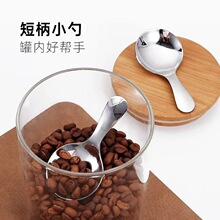 �ɰ���ͷ����304����ֲ�Ҷ�������Ʒ���ȶ��۶�ͯԲҨ��С����