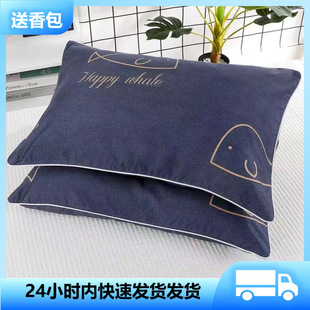 �W�t���^һֻ���ˌW����������^�׳��˿ɐ��o�i��������