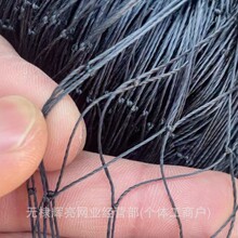 跨境黑网格尼龙网片加粗养殖家禽果园飞机场遮阳防老化防护网网片